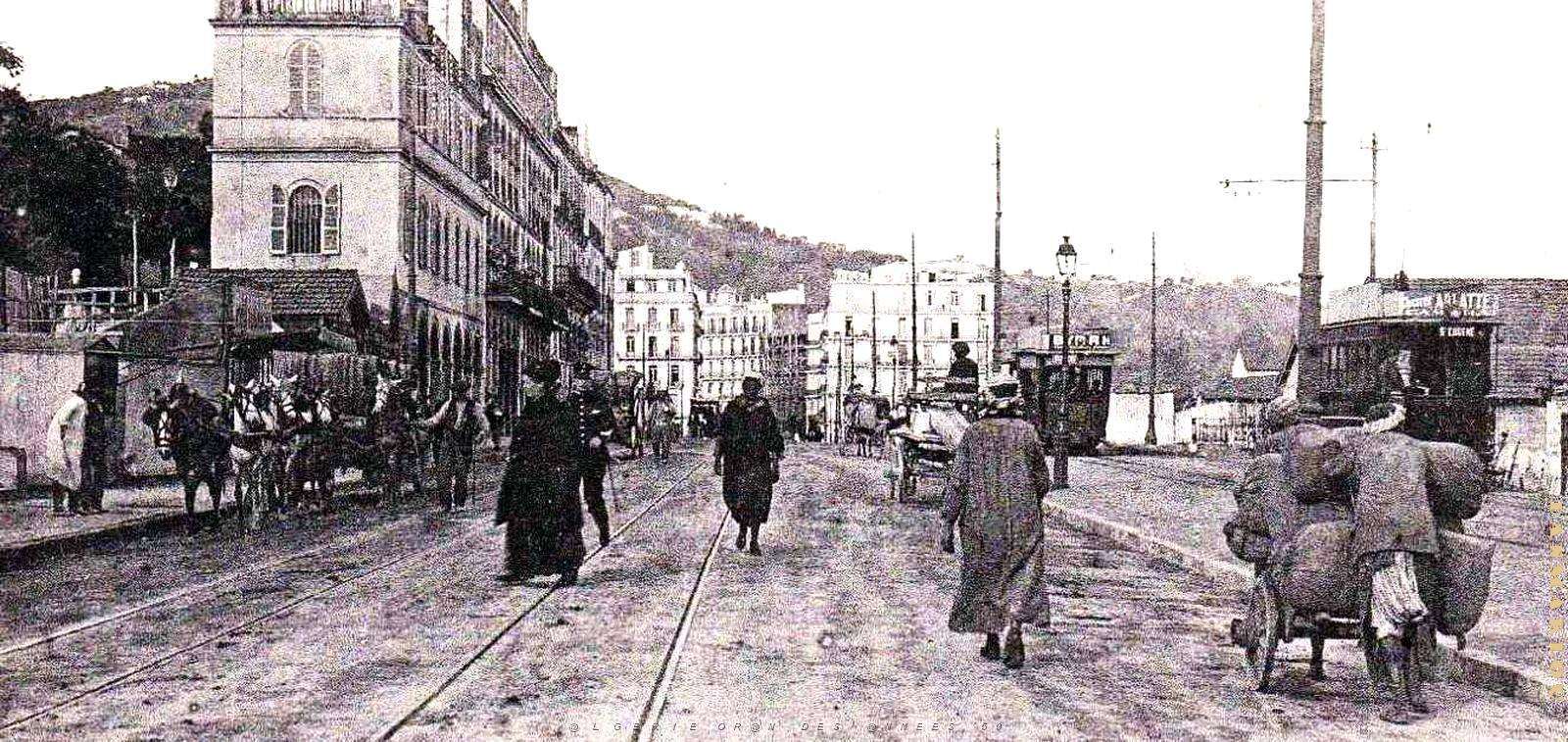 2542- Alger - Avenue de Bab-El-Oued2 - 1905.jpg